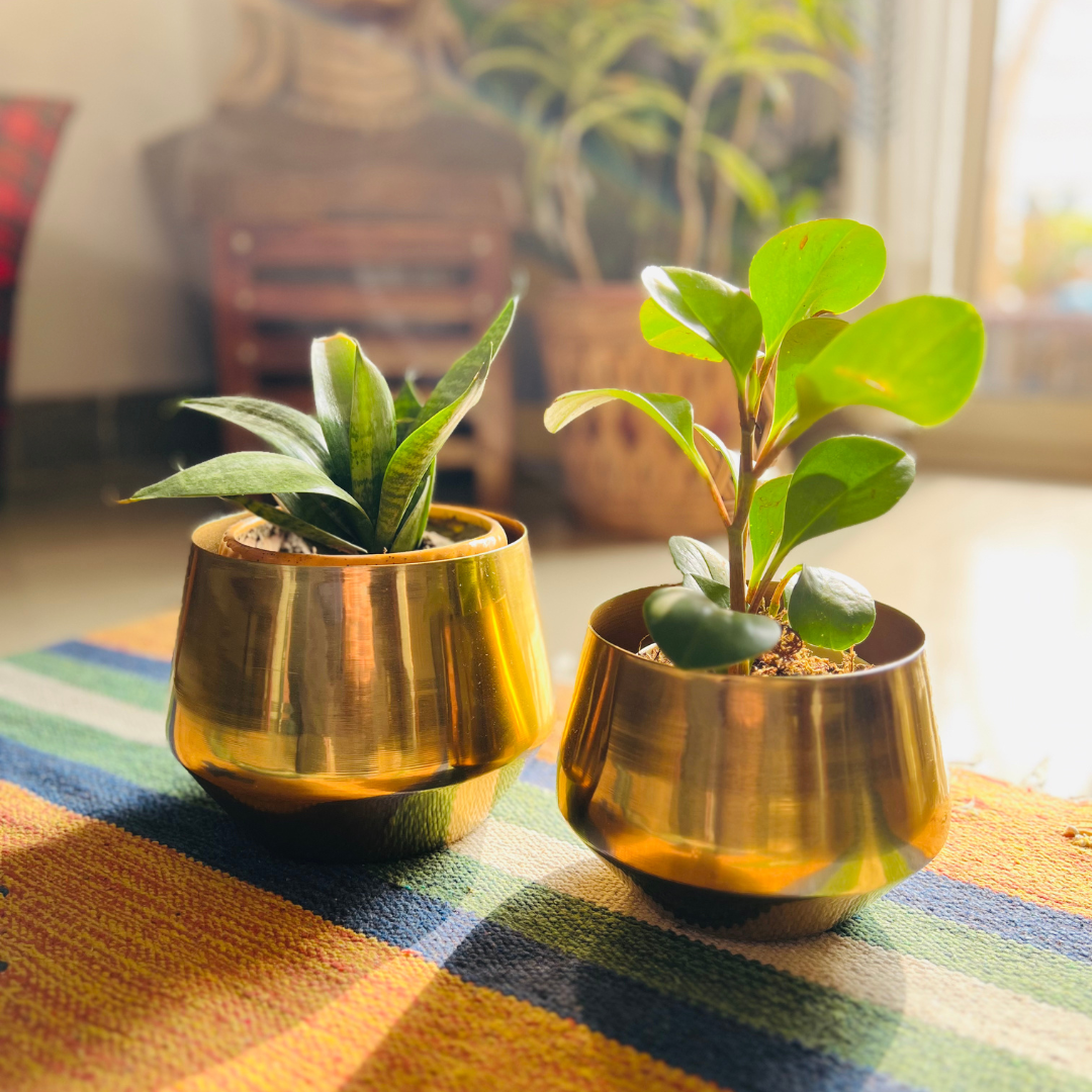 Bello Metal Planters Golden Gloss