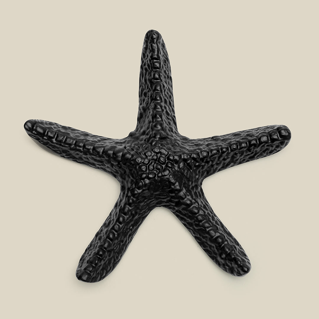 Anima Black Star Fish  Black Matte