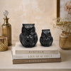 Anima Black Owl Black Matte