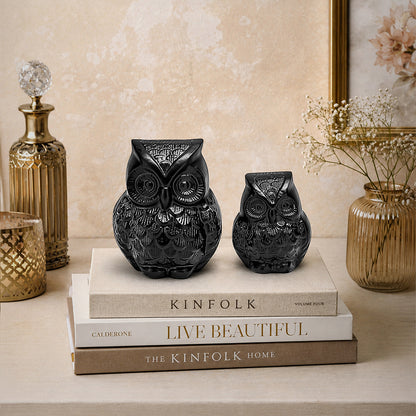 Anima Black Owl Black Matte