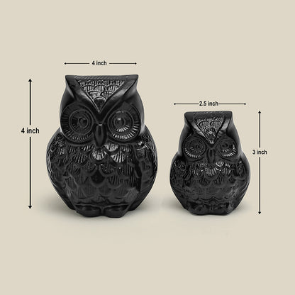 Anima Black Owl Black Matte