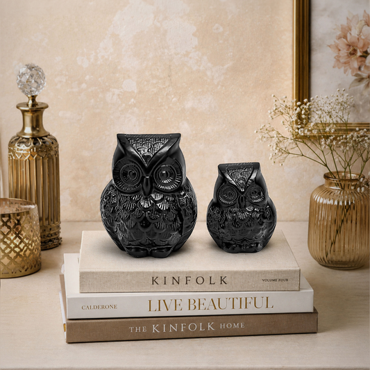 Anima Black Owl Black Matte