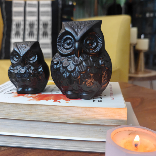 Anima Black Owl Black Matte