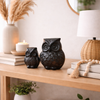 Anima Black Owl Black Matte
