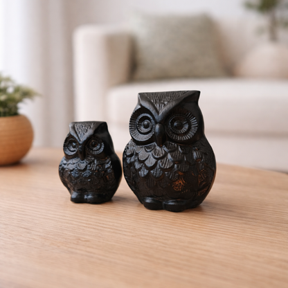 Anima Black Owl Black Matte