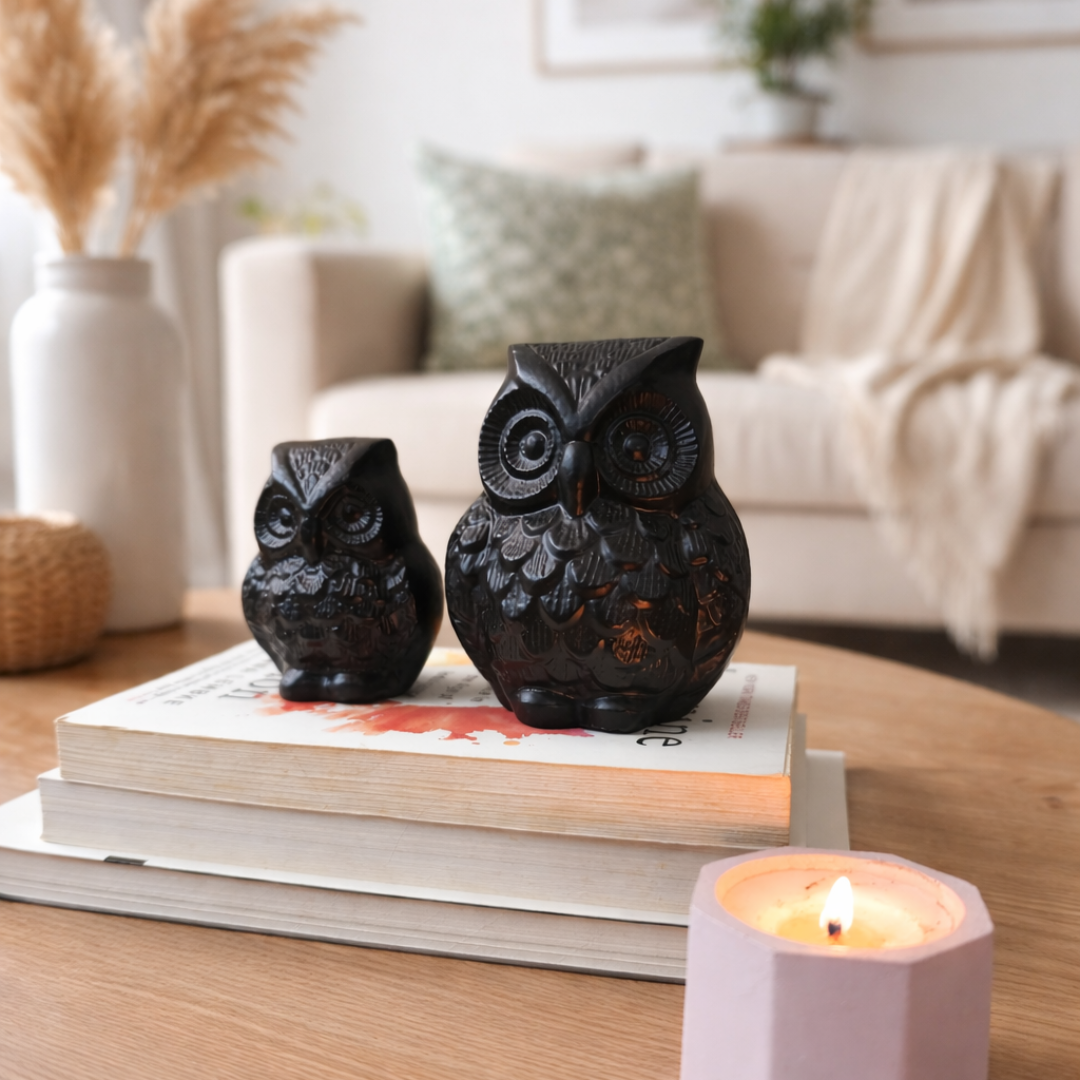 Anima Black Owl Black Matte
