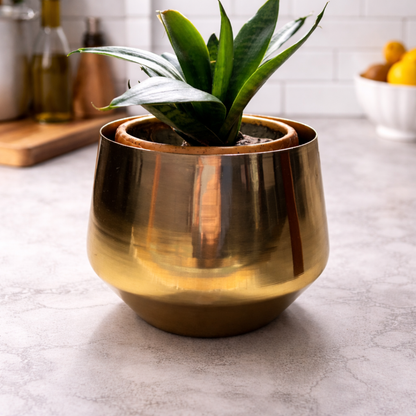 Bello Metal Planters Golden Gloss